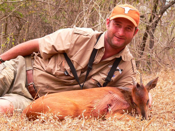 Red duiker.jpg