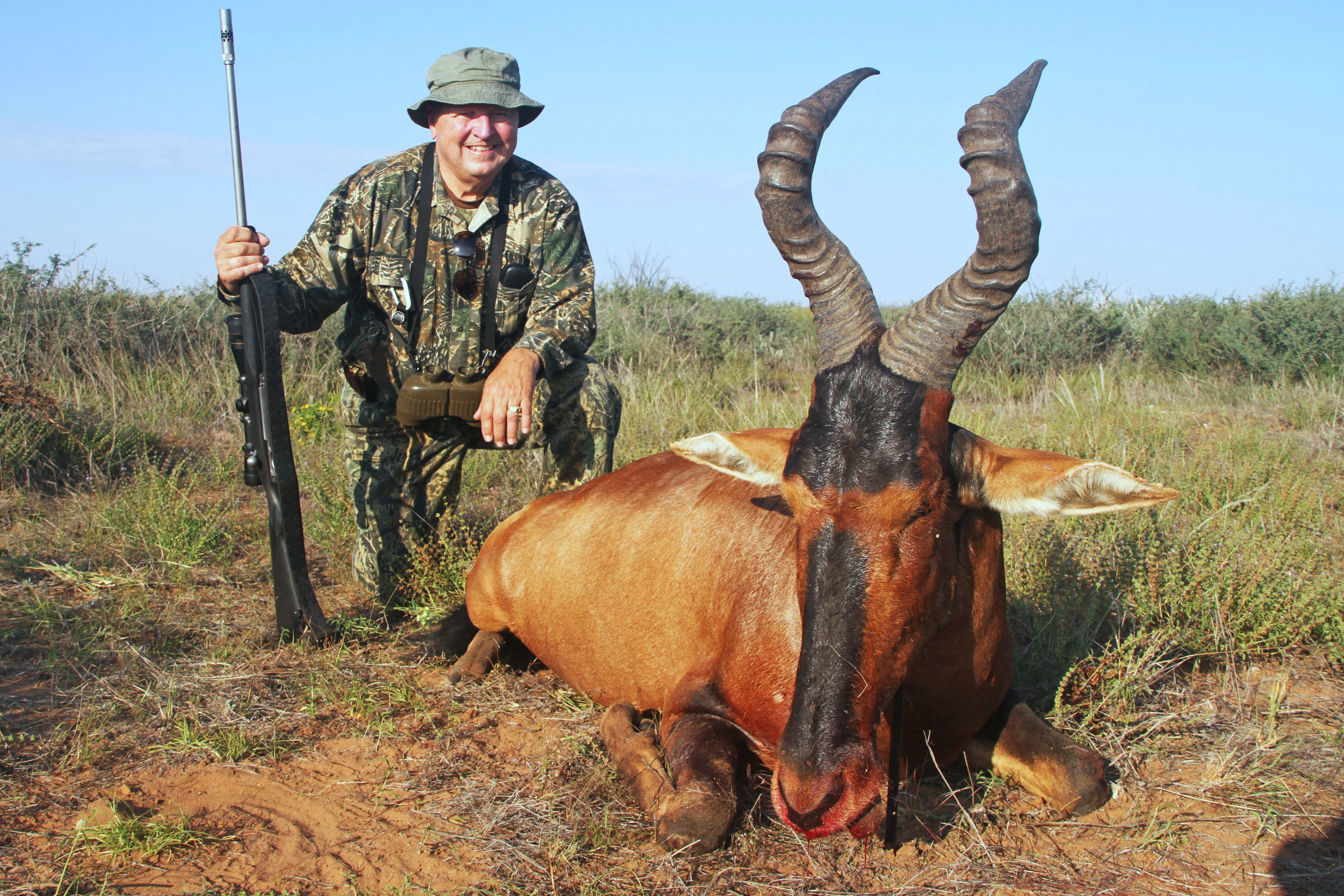 Red Hartebeest - 3.JPG