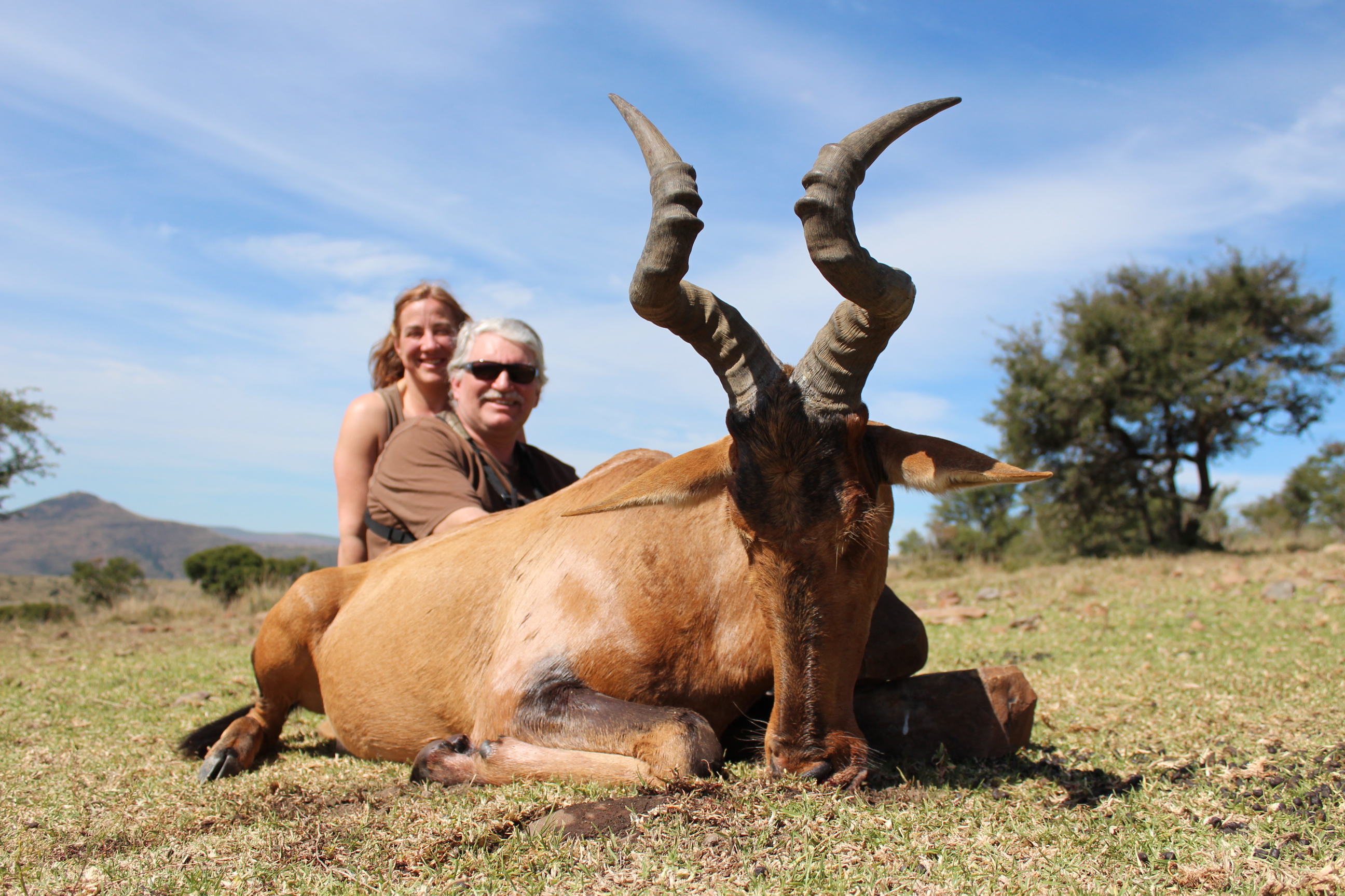 Red Hartebeest April 2014.jpg