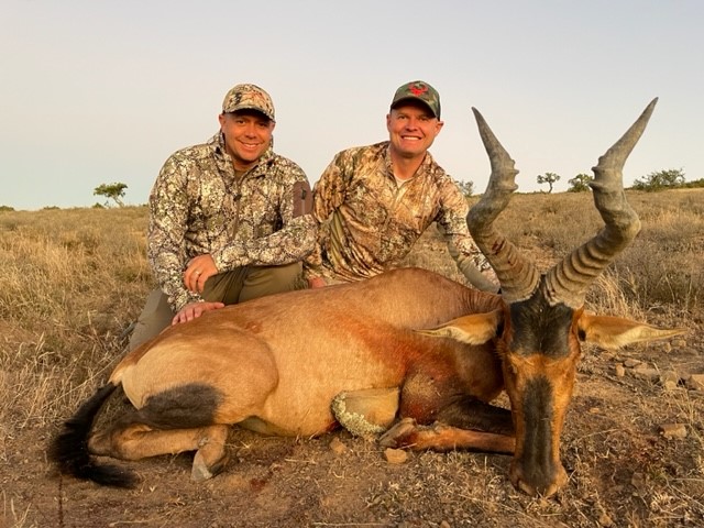 red hartebeest.jpg