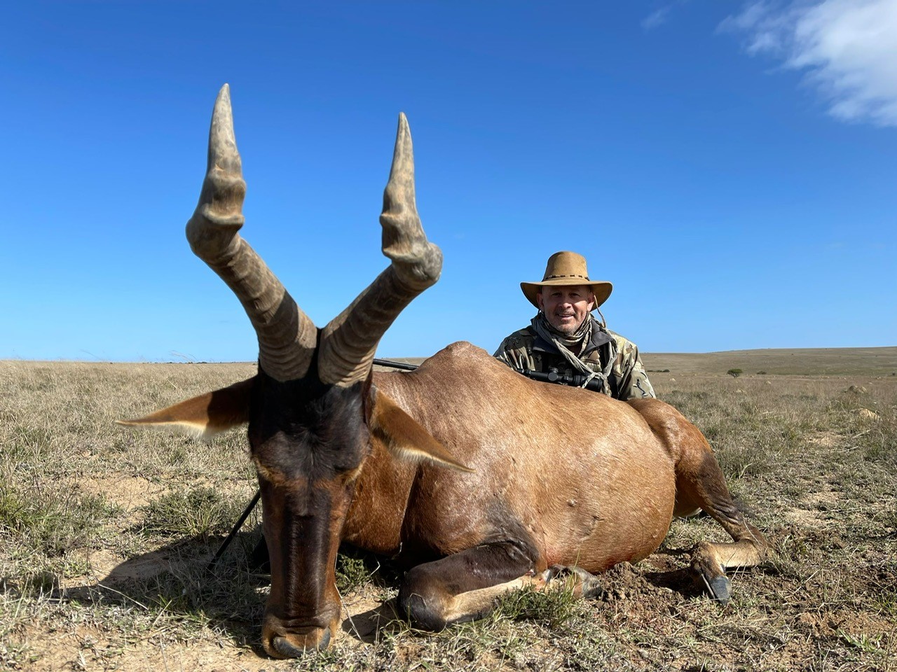 RED HARTEBEEST.jpg