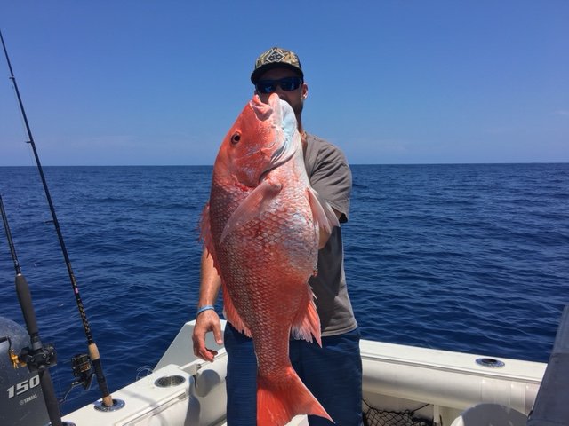 red snapper.jpg