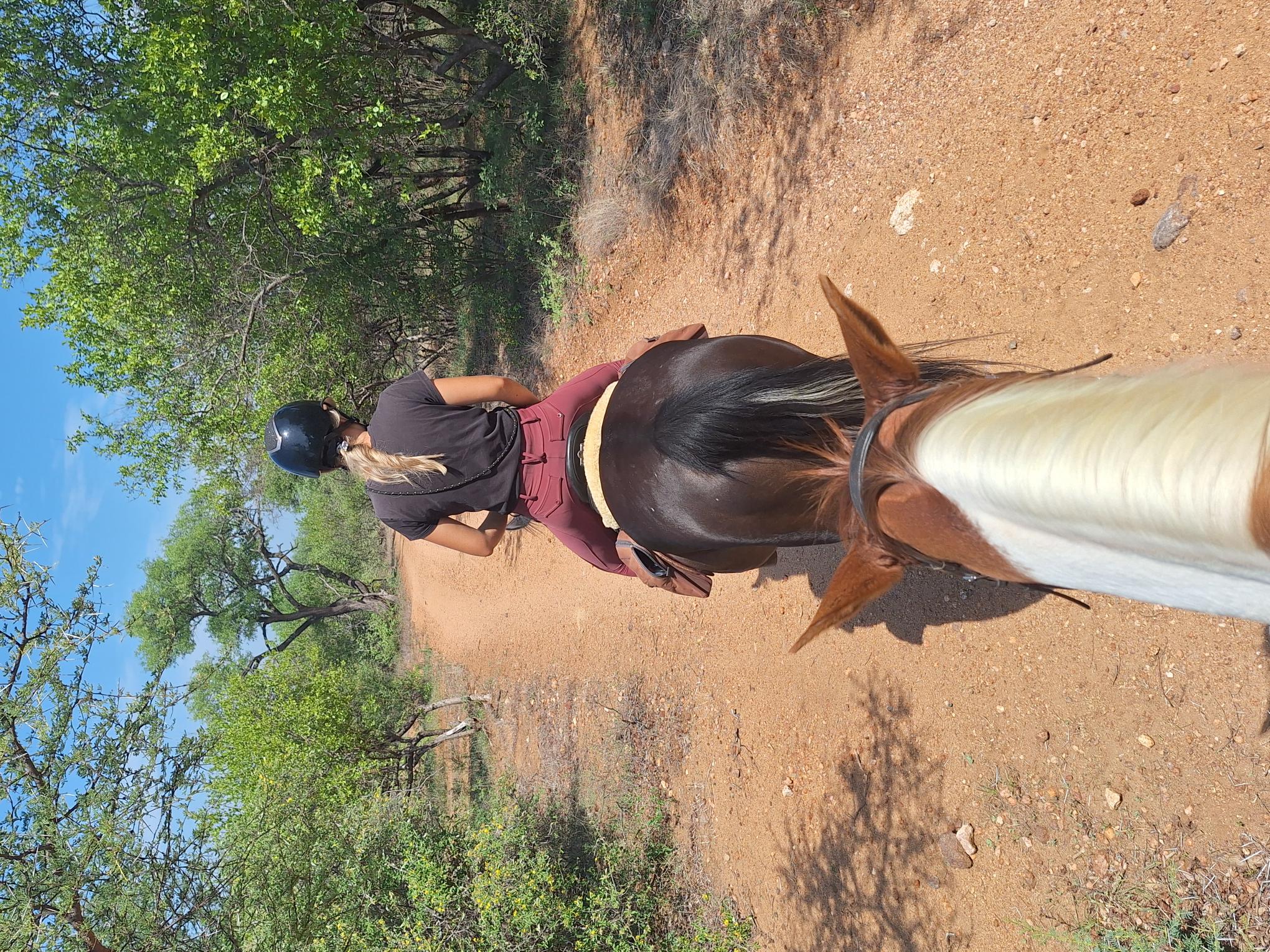 Reiten in Afrika.jpg