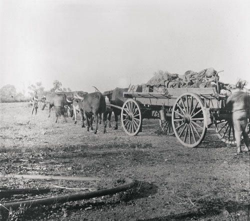 Sabie Bridge (now Skukuza).jpg