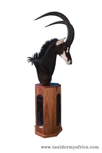 sable_chess_piece_pedestal_mount (1).jpeg