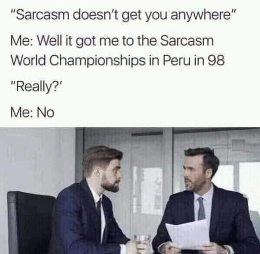 sarcasm meme.jpg