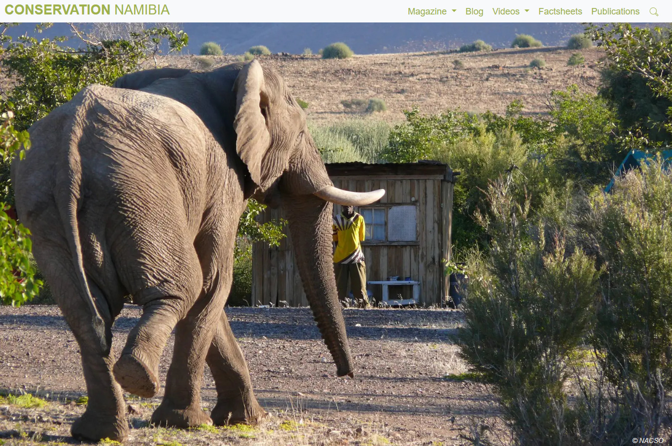 Screenshot_2020-10-16 From Poacher's Son to Conservation Leader – Defending Namibia's Communit...jpg