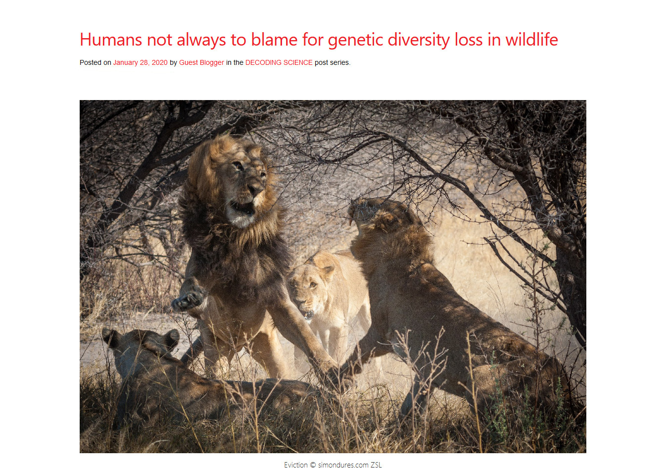 Screenshot_Humans not always to blame for genetic diversity loss in wildlife - Africa Geographic.jpg