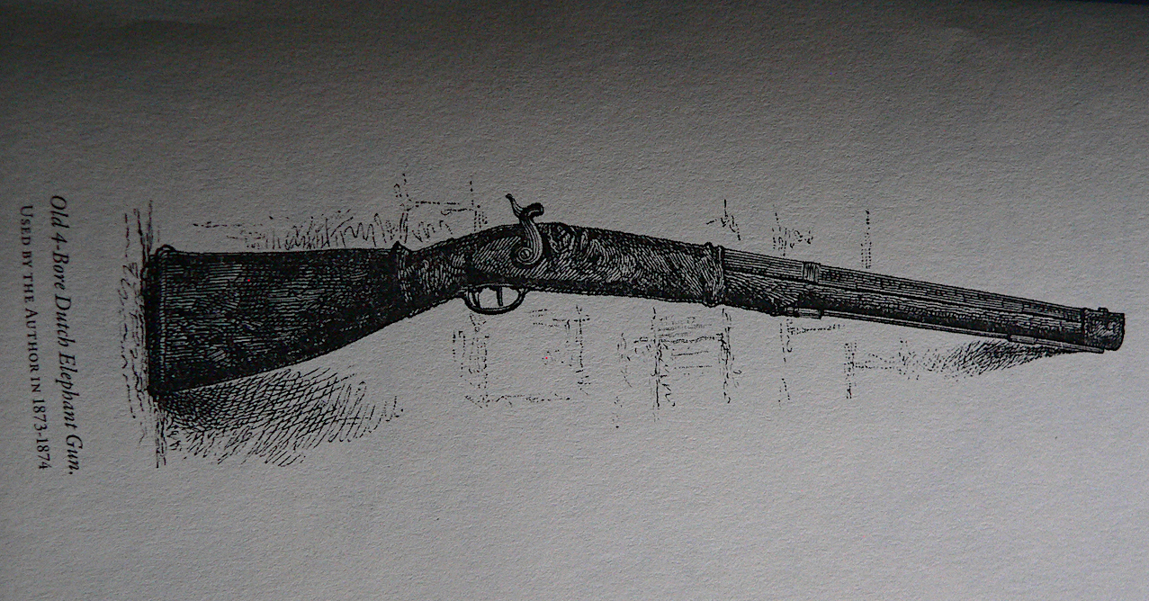 Selous' 4 bore.jpg