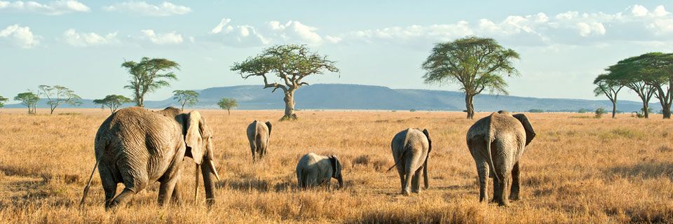 serengeti-national-park-006.jpg