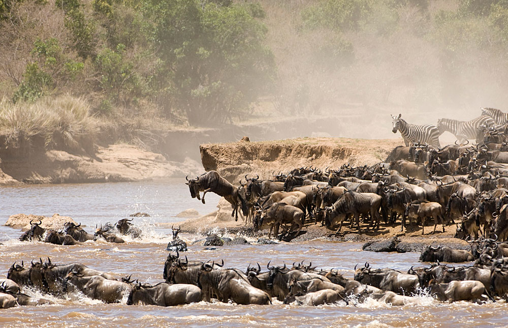 Serengeti_National_Park_026.jpg