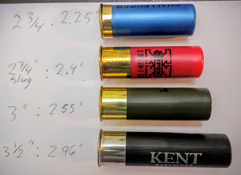 shotgun shell different sizes.jpg