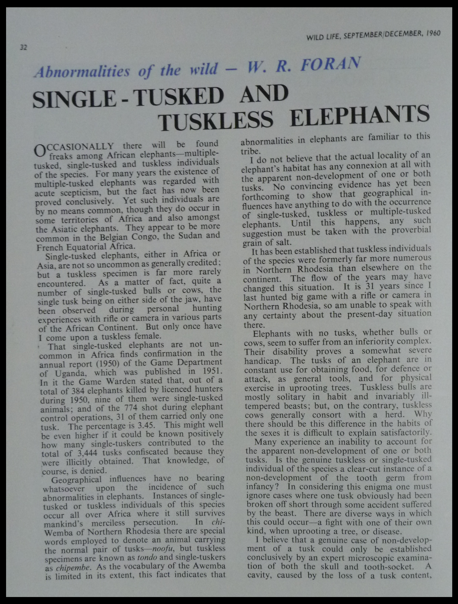 Singled Tusked & Tuskless Elephants - W.R.Foran #1.png