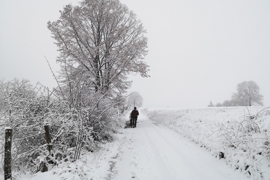 Sleepless-nights-in-Alsace_1-930x620.jpg