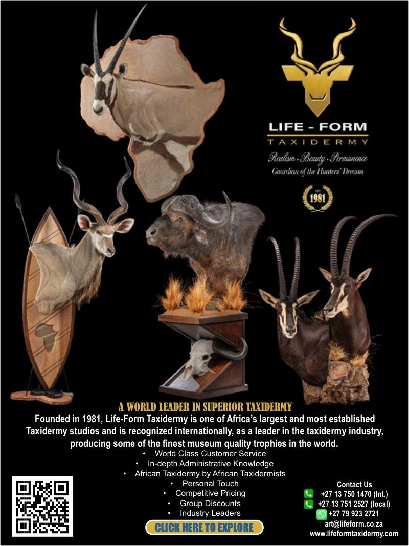 south-africa-taxidermist.jpg