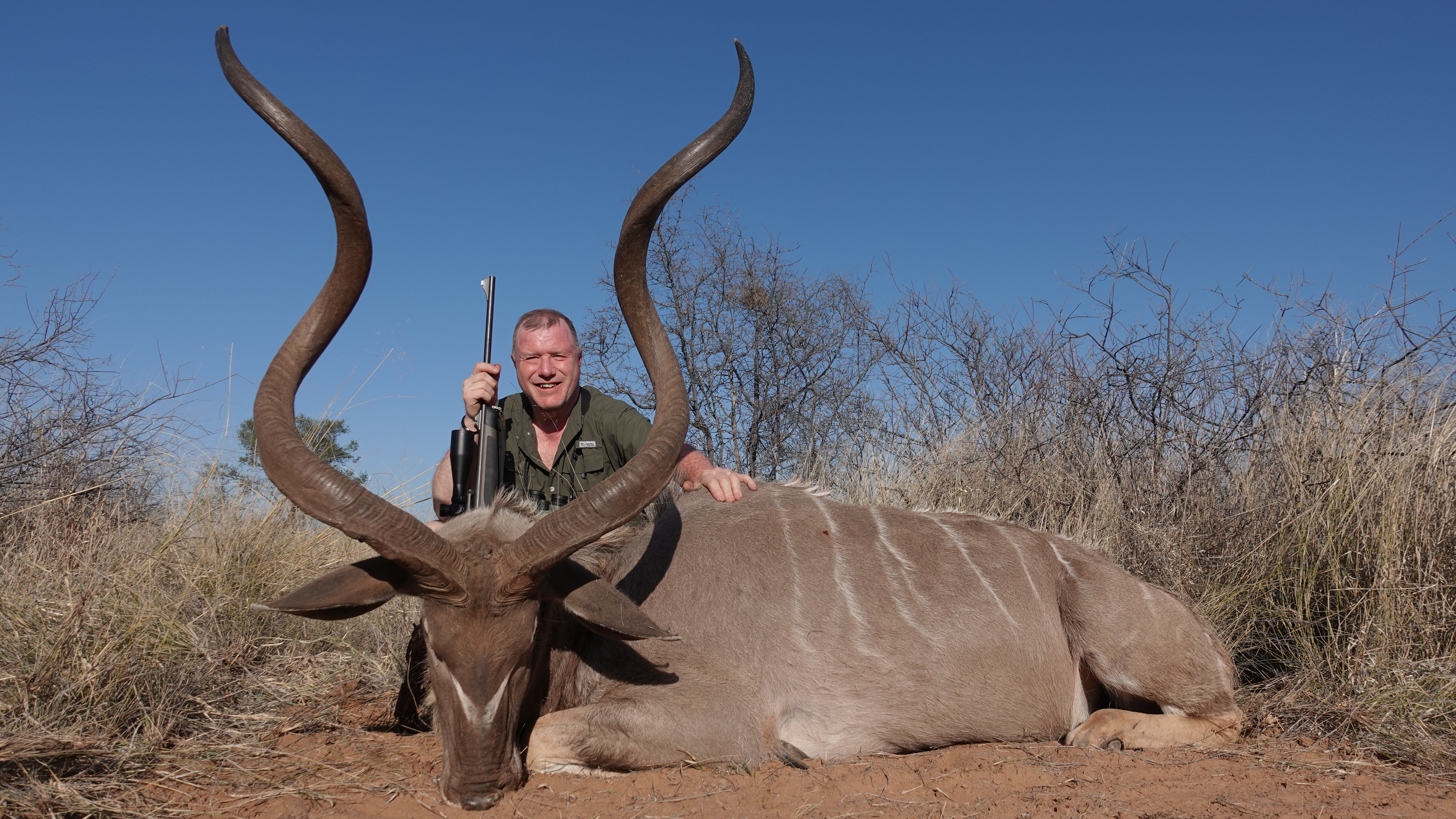 Southern Greater Kudu 2022 - 1.JPG