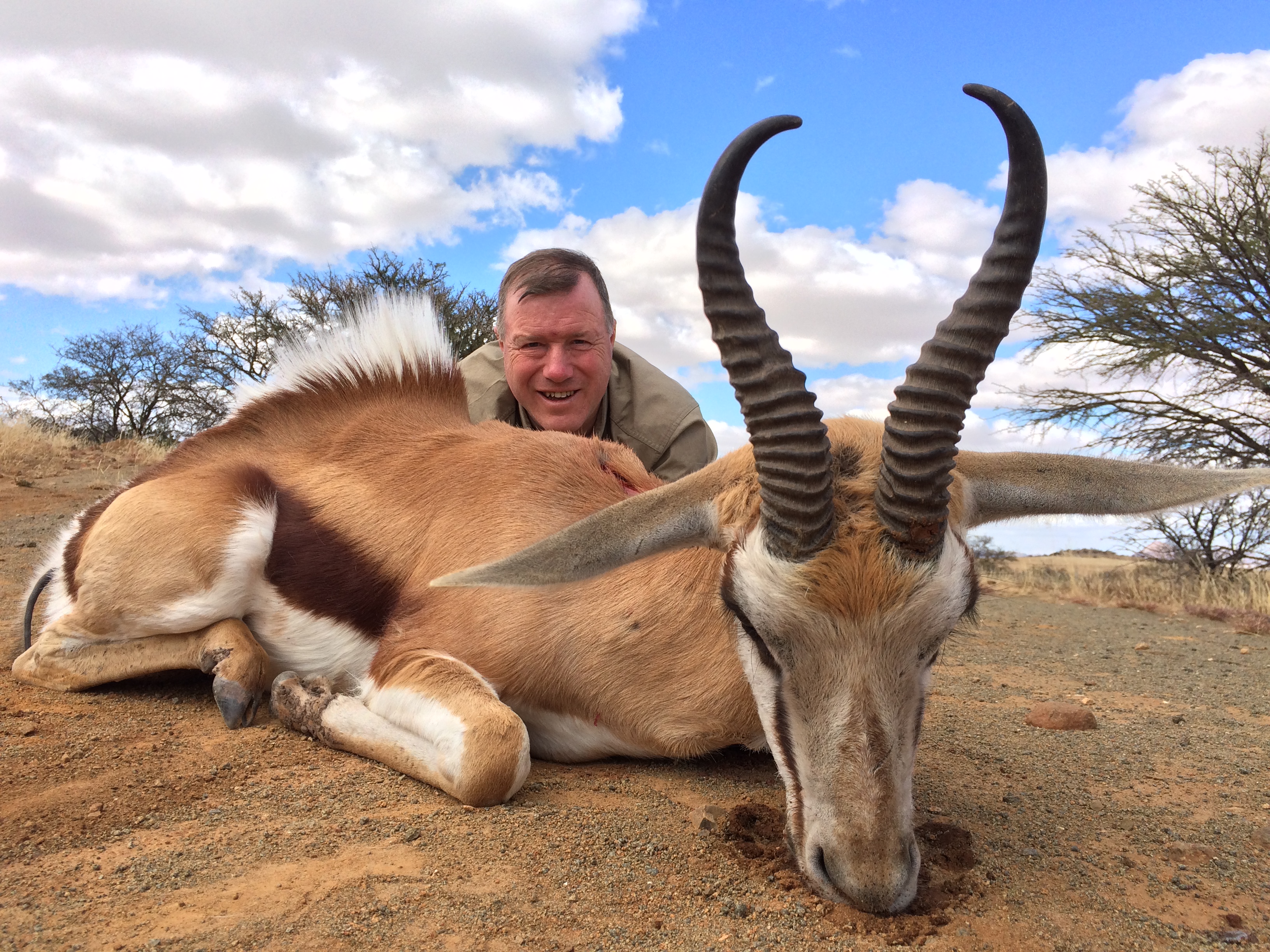 Springbok.JPG