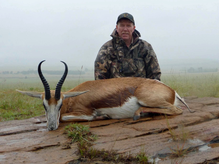 Springbok.jpg