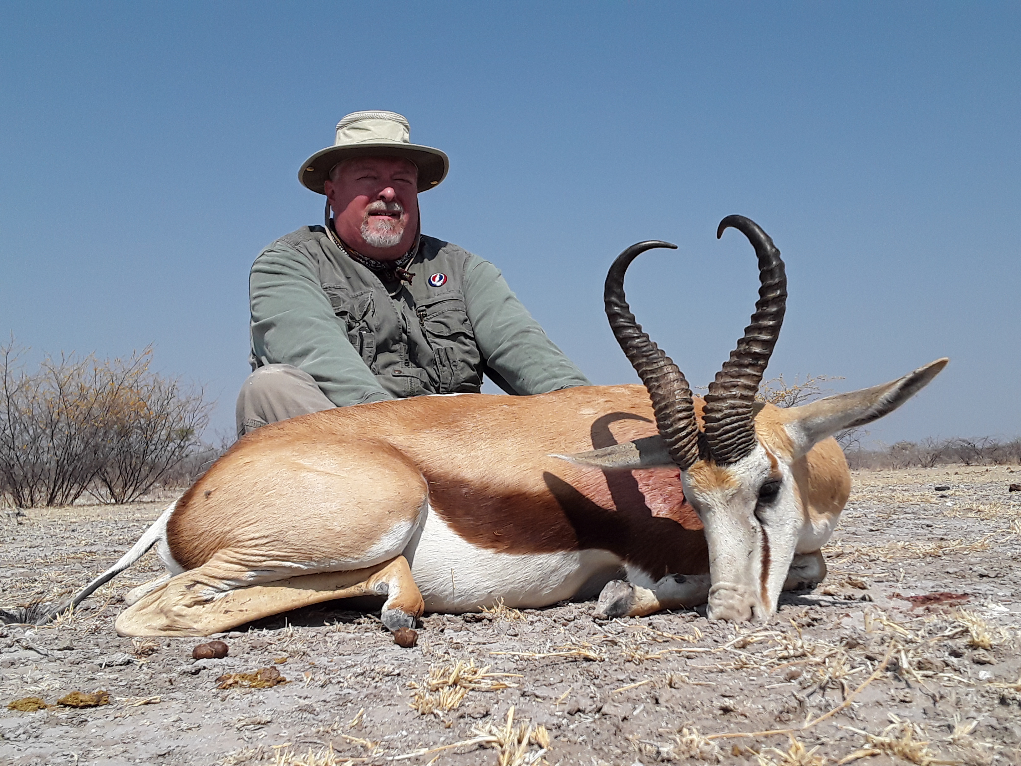 Springbok.jpg