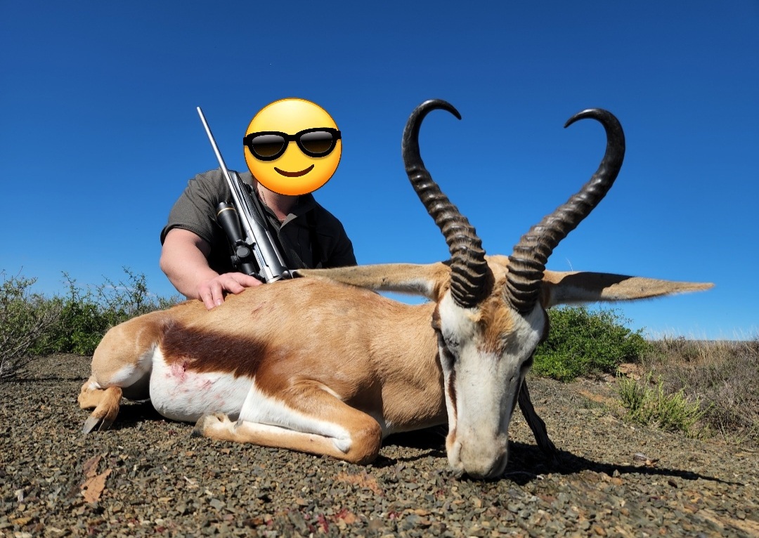 springbuck.jpg