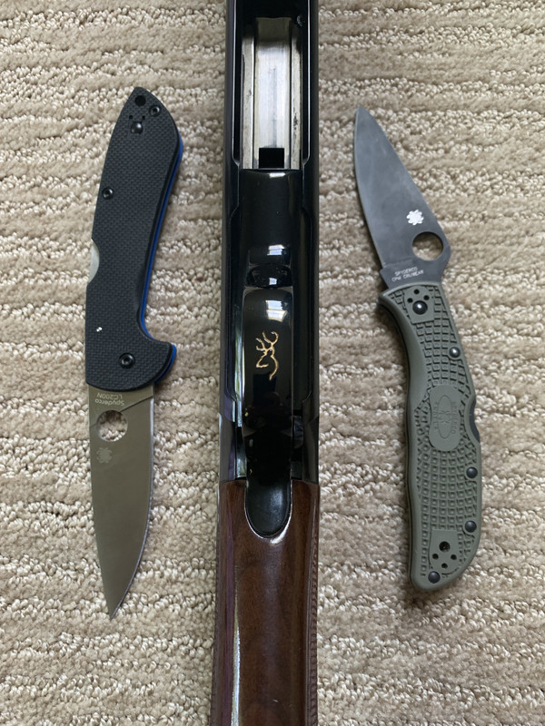 spydercos 2.jpg