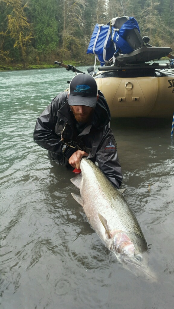 steelhead.JPG