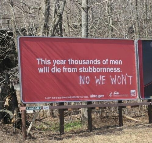 Stubborn.jpg