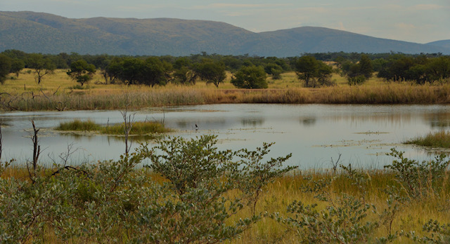 T sala pond.jpg