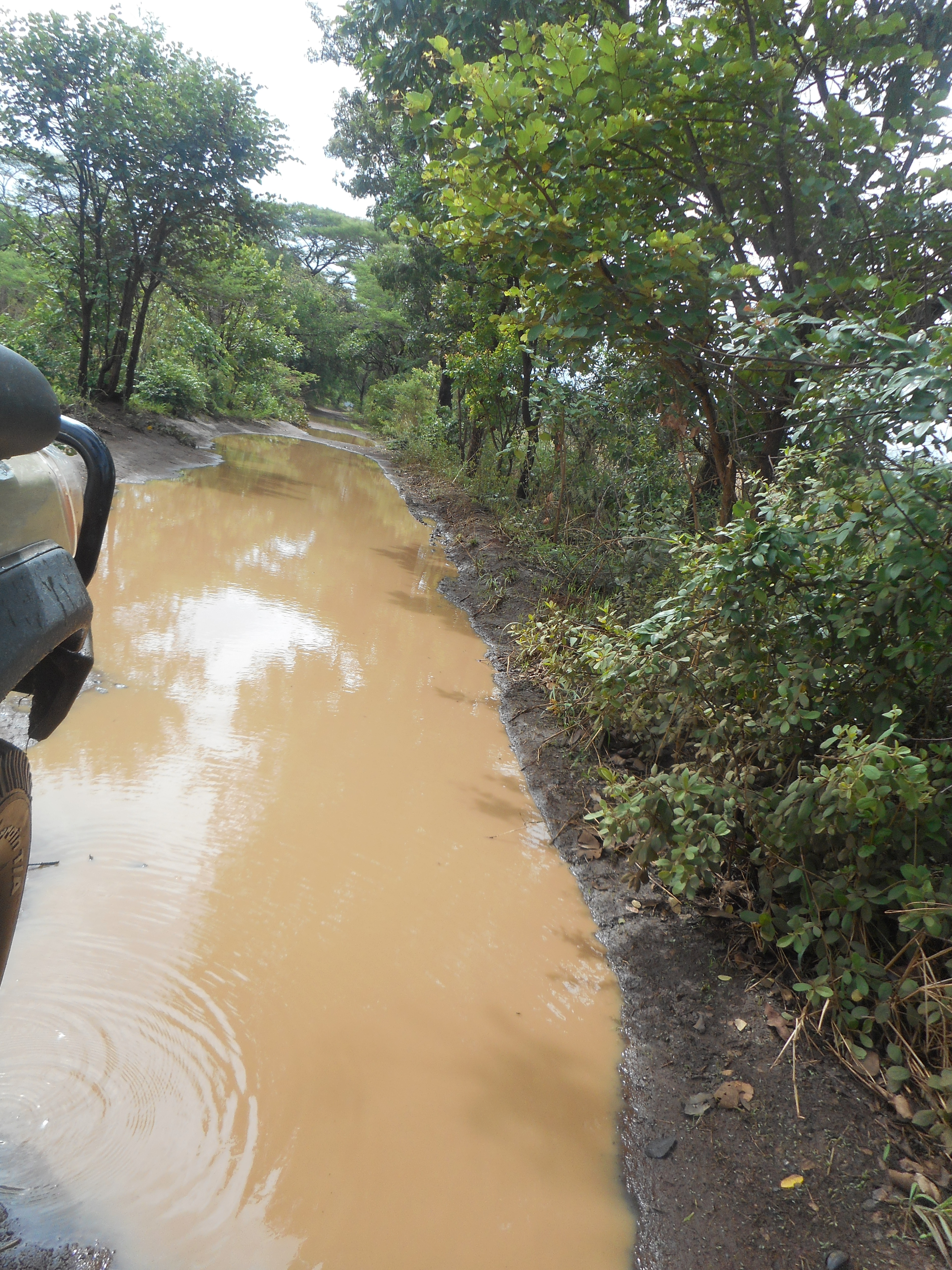 takeri nov 2016 after first rains and hilux 023.JPG