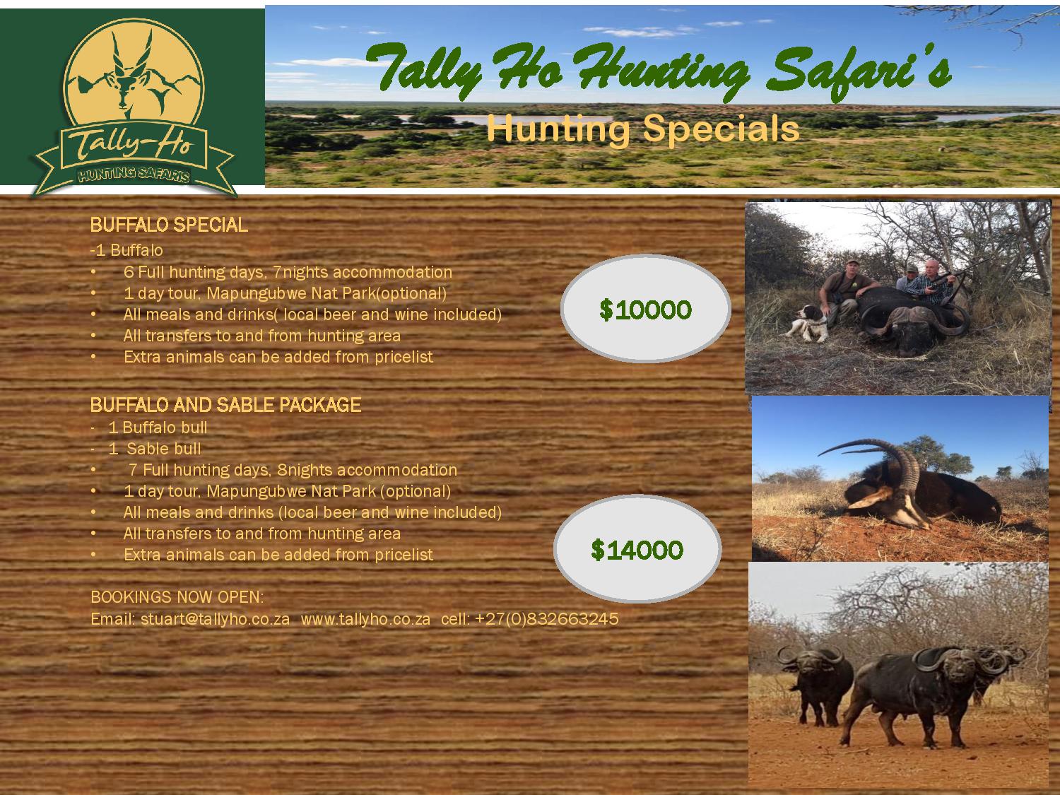 tally-ho buffalo packages 2018 dollars $-page-001.jpg