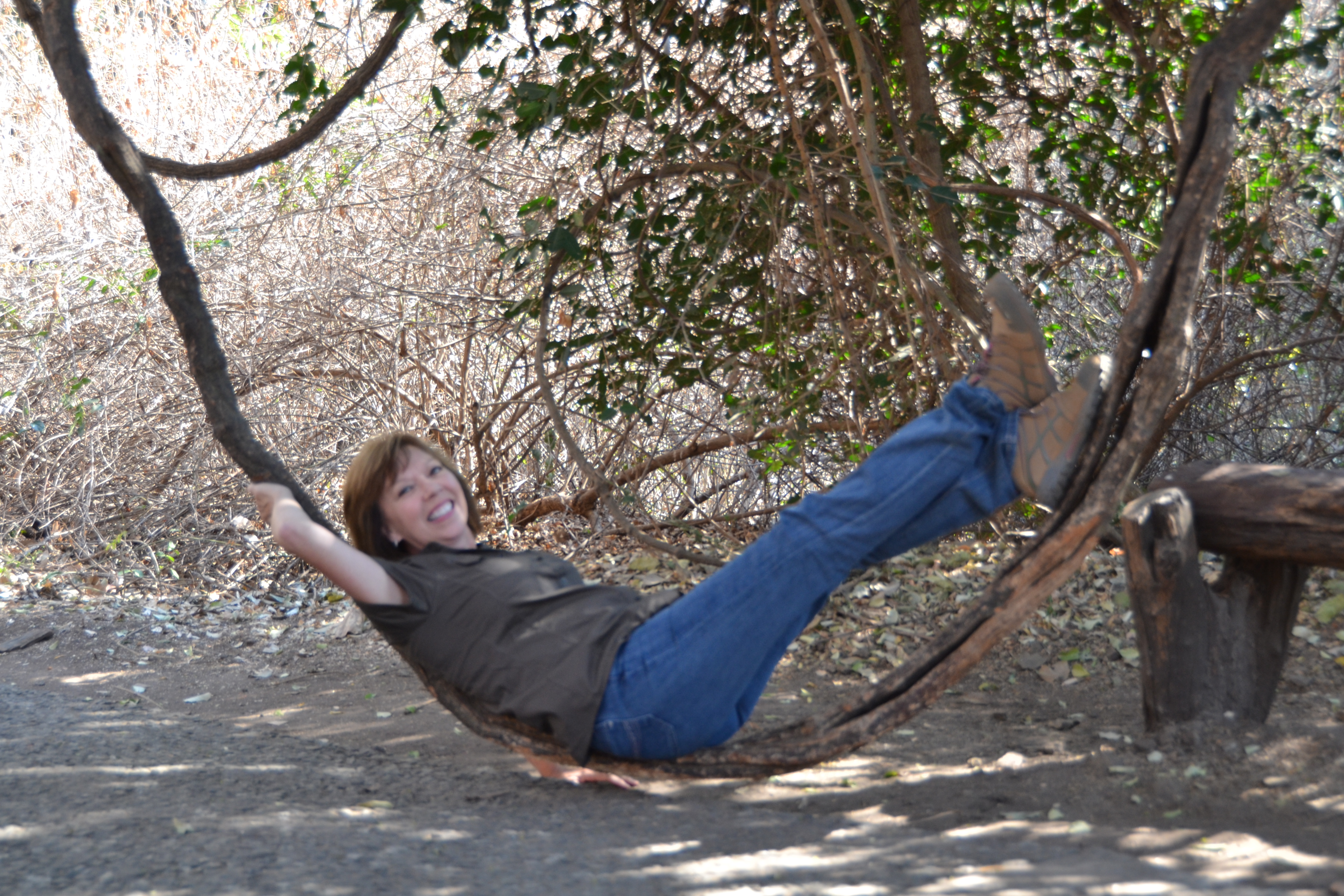 Tarzan Vines at Victoria Falls.JPG