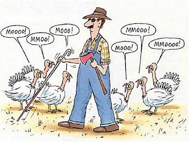 thanksgiving-funny-58b8d6cd5f9b58af5c8ee9cc.jpg