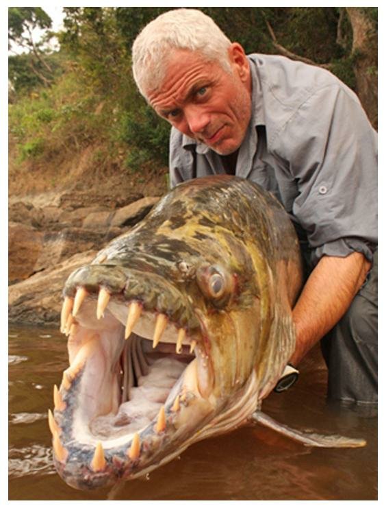 Tigerfish-and-Angler-Jeremy-Wade.jpg