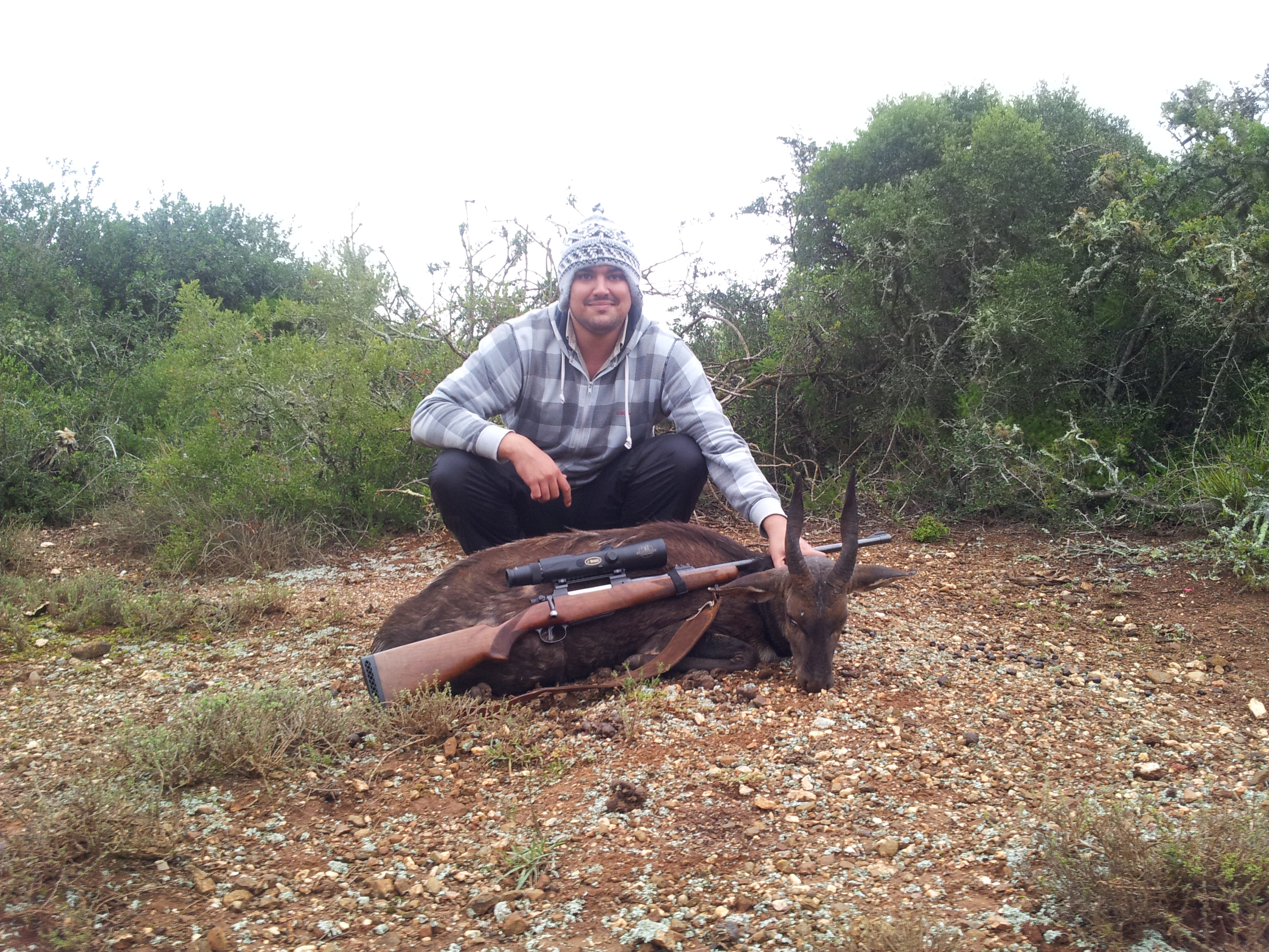 Toms bushbuck.jpg