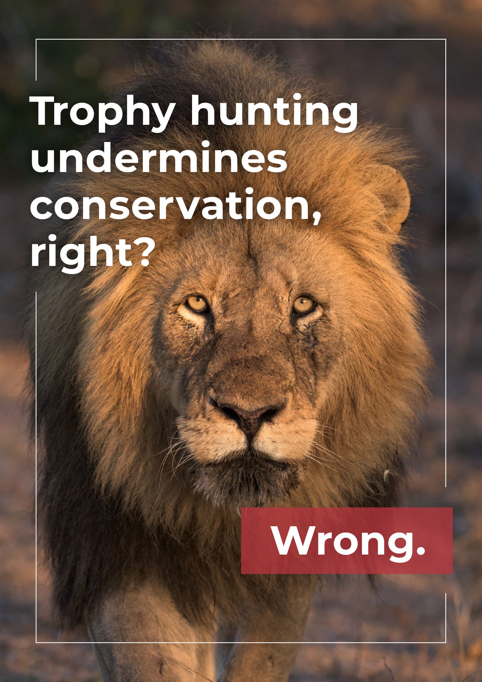 Trophy hunting report-01.jpg