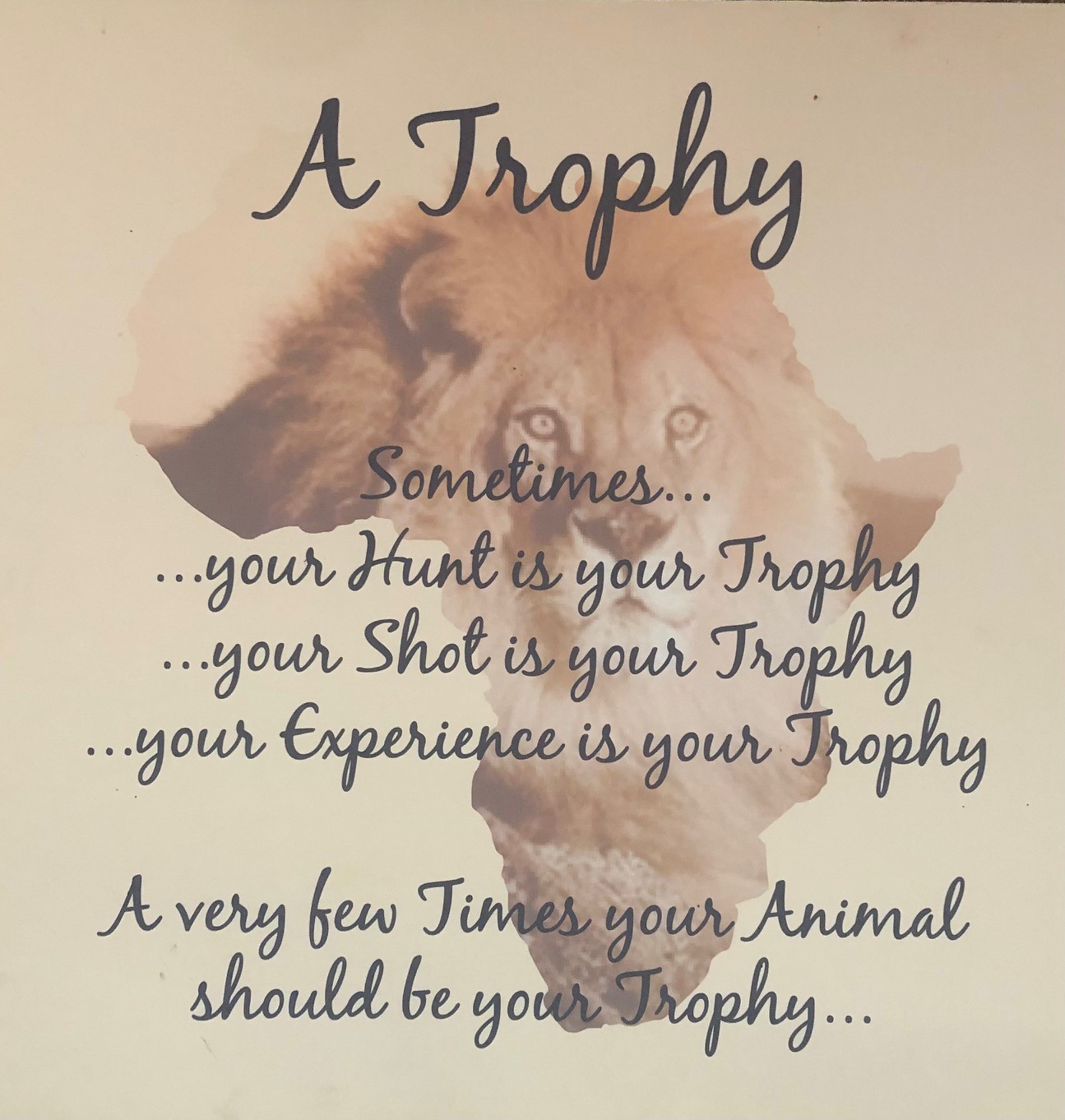 trophy.jpg