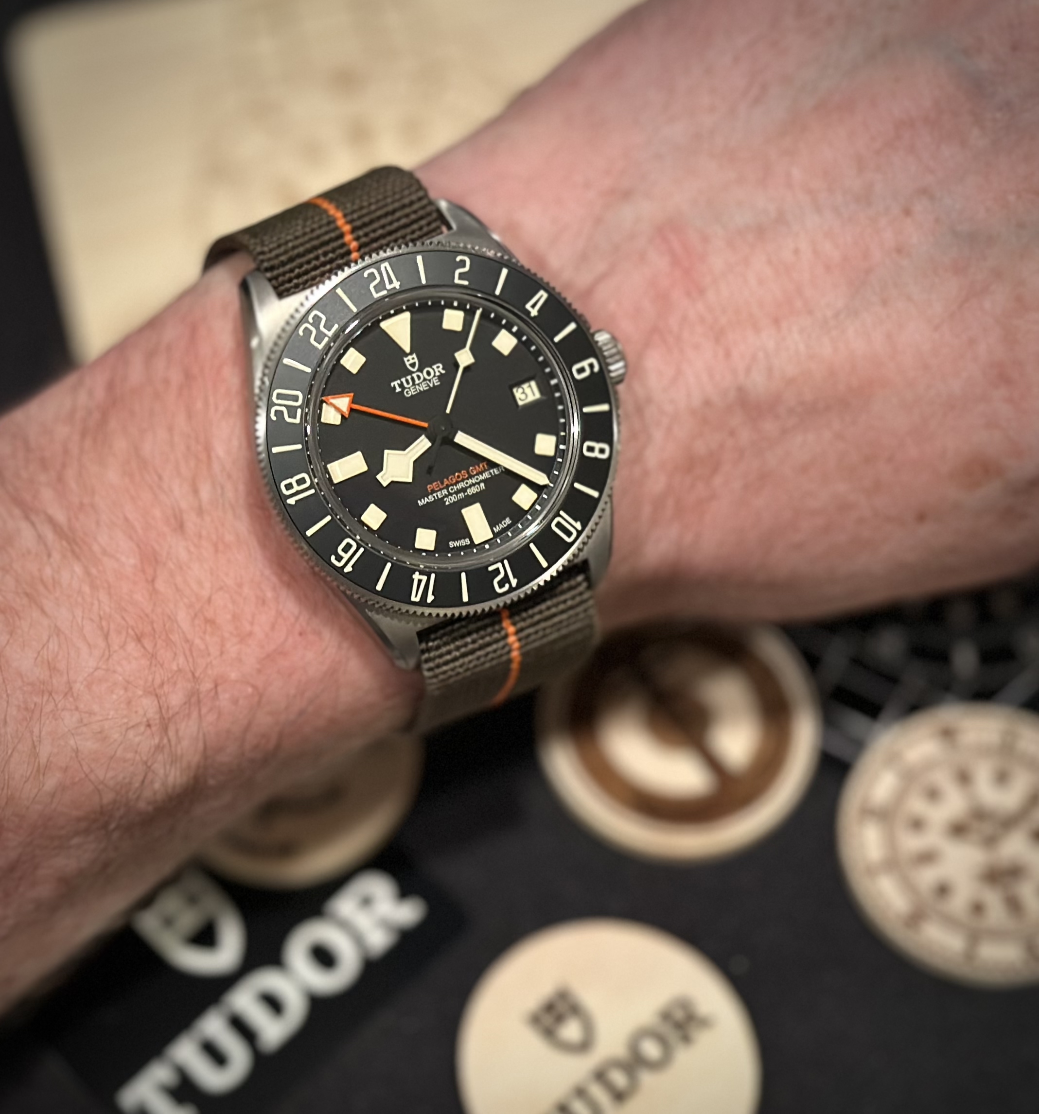 TUDOR FXD GMT.jpg