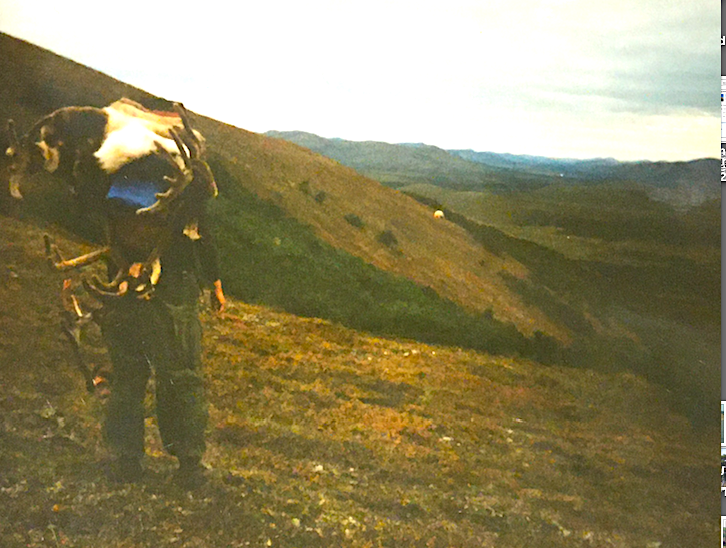 Upper Nushagak caribou.png