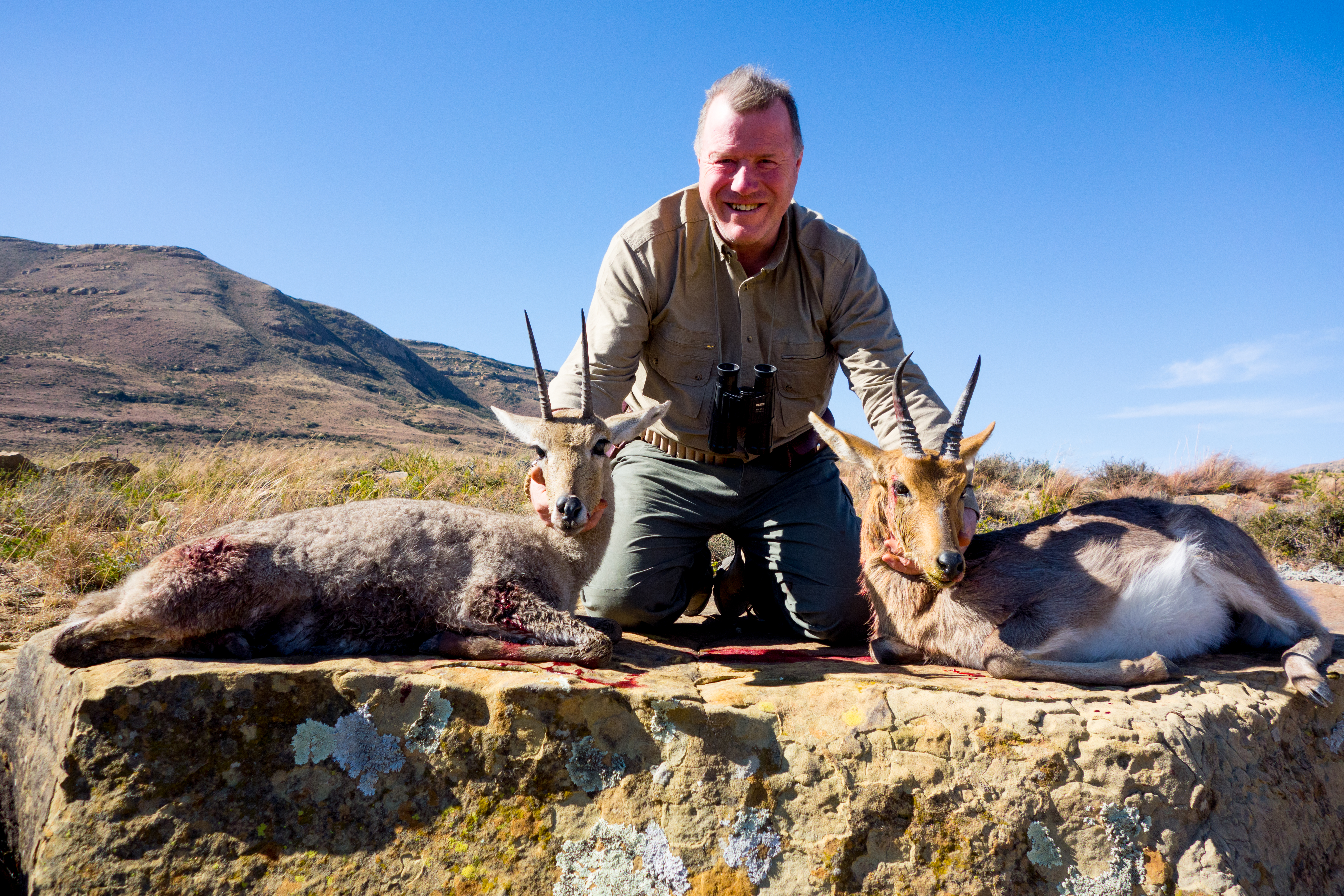 Vaal Rhebok & Mountain Reedbok.jpg