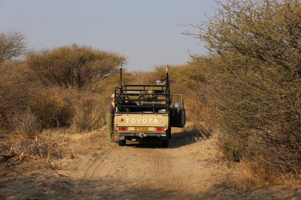 WaitingattheBakkie_zps5999eebf.jpg