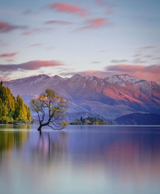 Wanaka 3.png