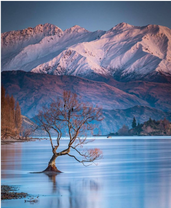 Wanaka.png