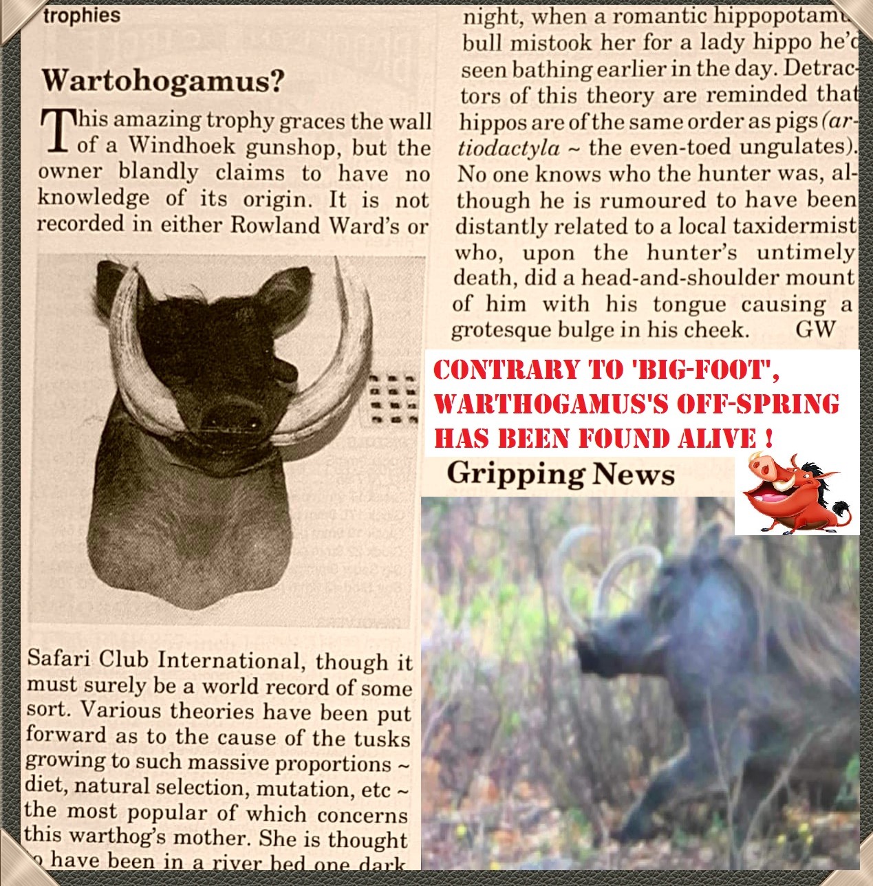 WARTHOHAMUS.jpg