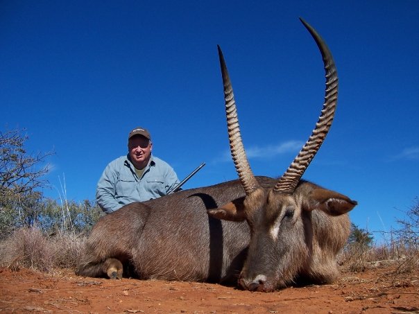 Waterbuck 1.jpg