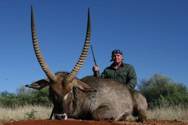 Waterbuck 4.png