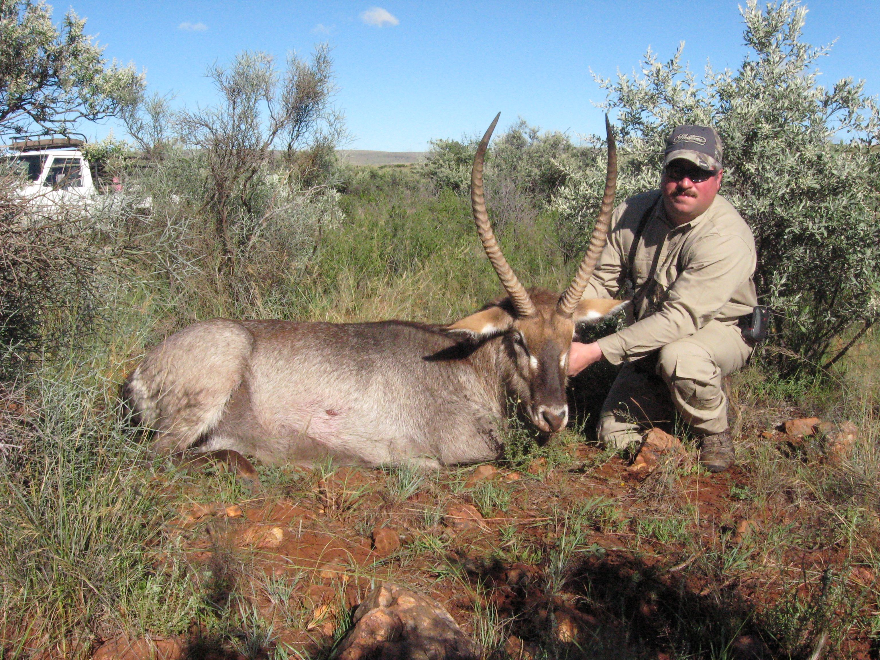 Waterbuck.jpg