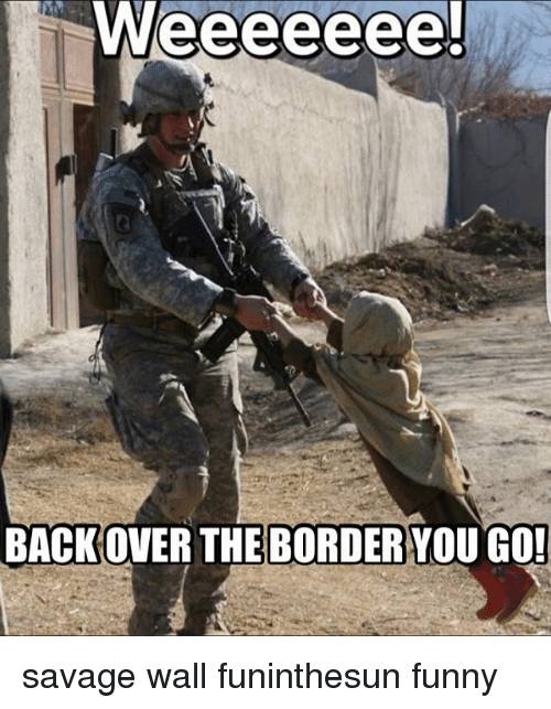 weeeeeee-backover-the-border-you-go-savage-wall-funinthesun-funny-21390527.jpeg