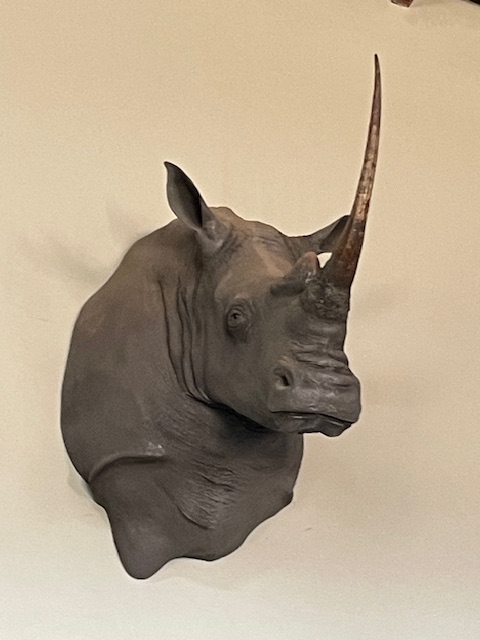 White Rhino.jpg