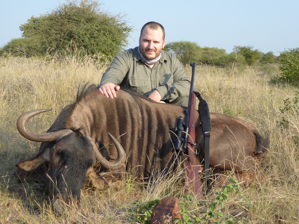 wildebeest%20bull3_zpshrybw5hc.JPG