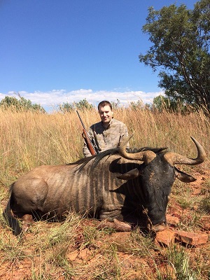 Wildebeest1.jpg